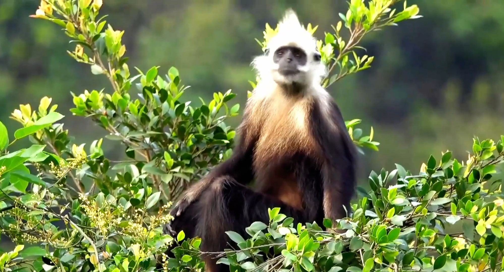 有片|桂扶綏漫記：山水有相逢 一程一故事