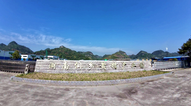 有片丨新晃黃精以新視野開闢海外市場