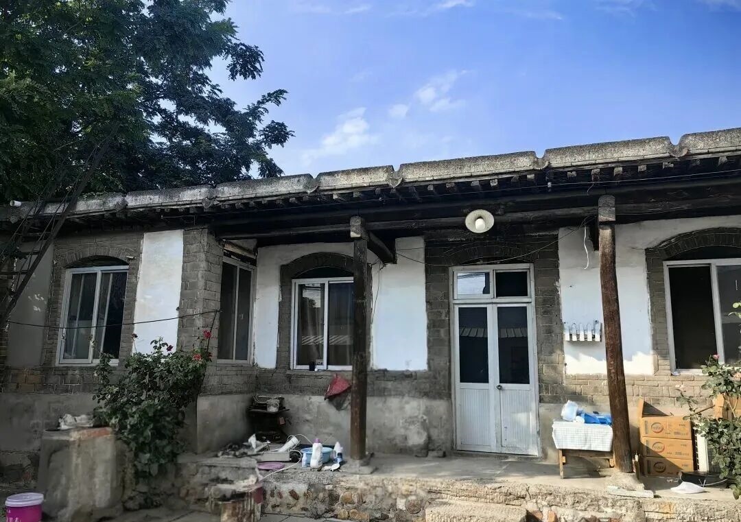 【樹成煮字】老家院裡，該種棵樹