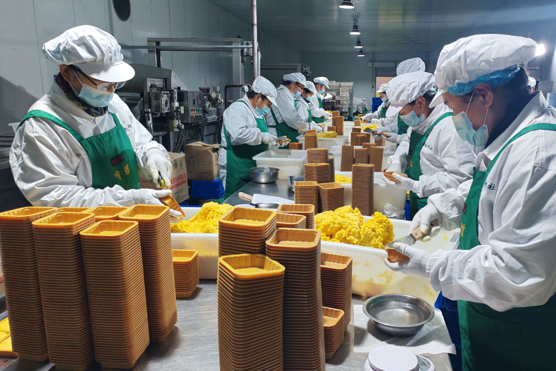 黑龍江寶清：金色糯玉米 奏響「致富曲」