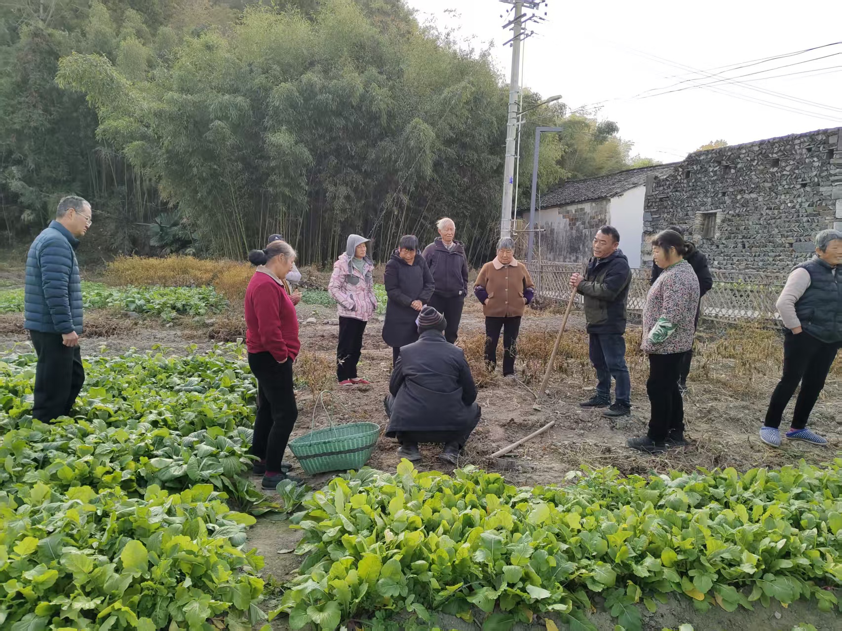 皖黟縣西遞鎮：辦好田間課堂 端穩「生態飯碗」