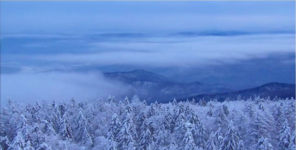 有片｜伊春：博弈冰壺之鄉 盡展青春鋒芒
