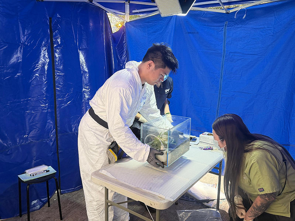 有片〡宏福苑大火：災難遇害者辨認組救出近百寵物交愛協