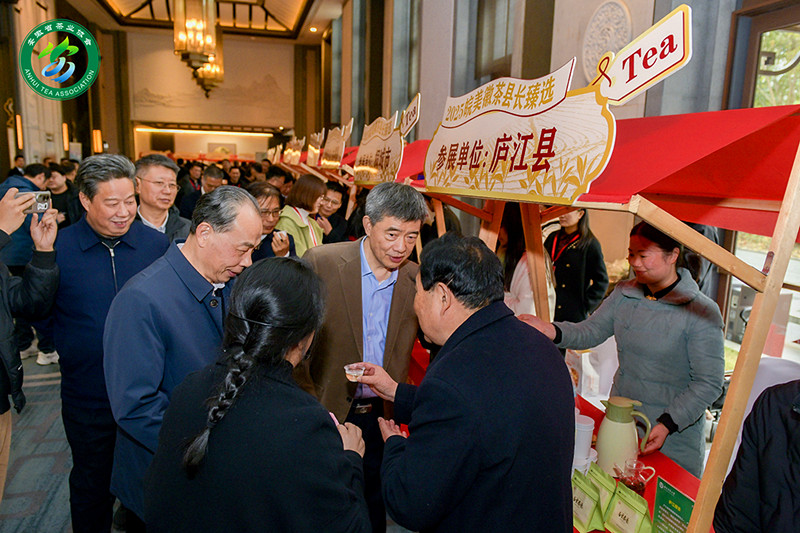 有片丨茶香氤氳聚廬州徽茶故事譜新篇 第二屆皖美茶會圓滿舉辦