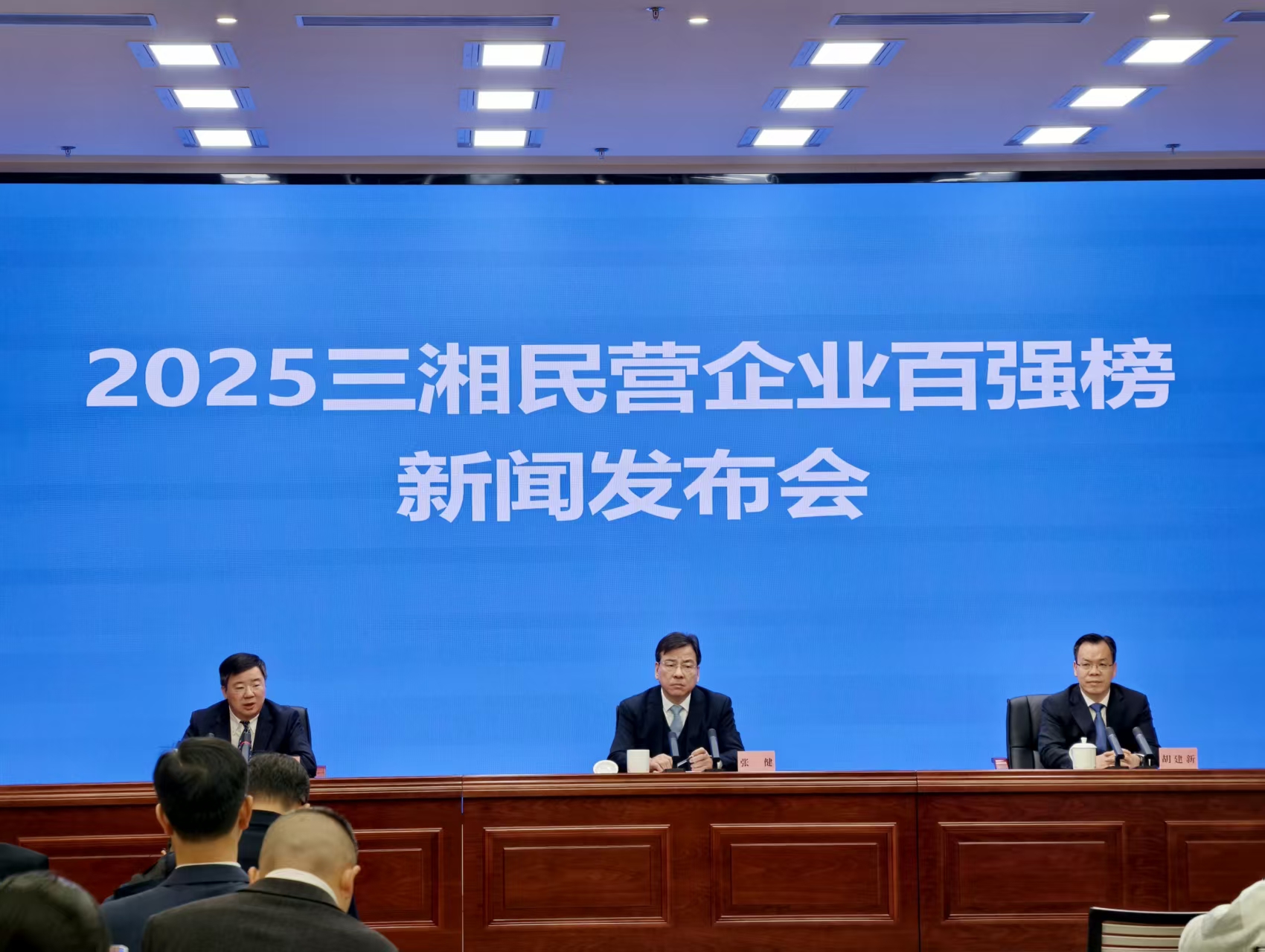 2025三湘民營企業百強榜發布：營收破萬億穩增長  製造創新雙輪驅動顯活力