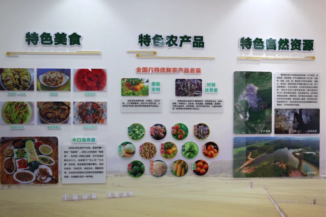  莞韶協作鳳武和鳴｜駐鎮傾力注活水鄉村蝶變展新顏