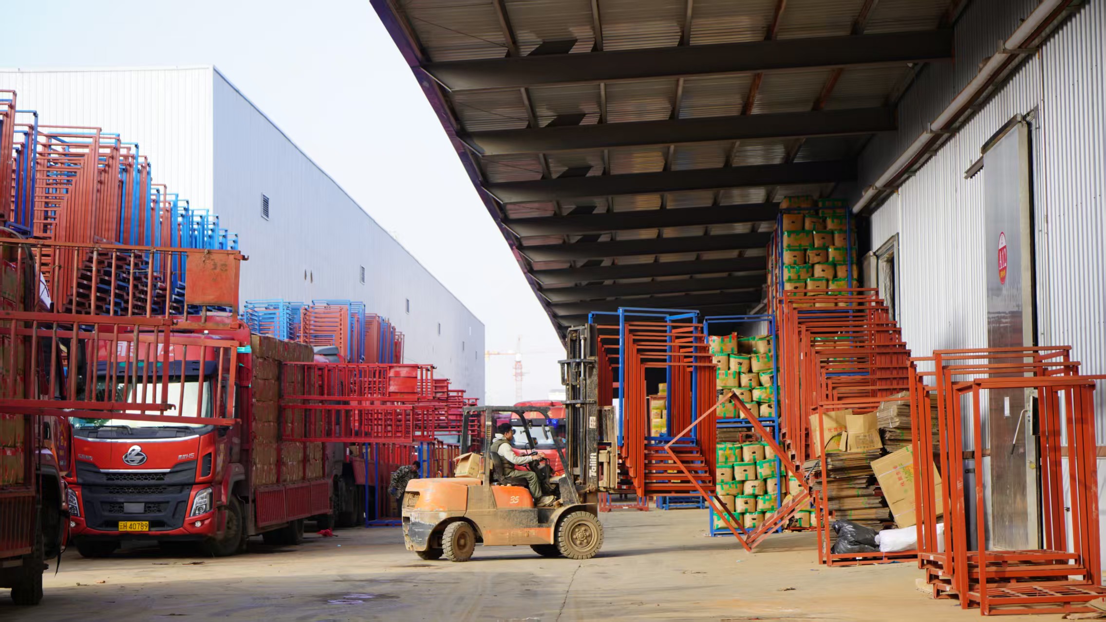 年末衝刺收官！硯山小黃姜產業園區破解「豐產愁儲」難題