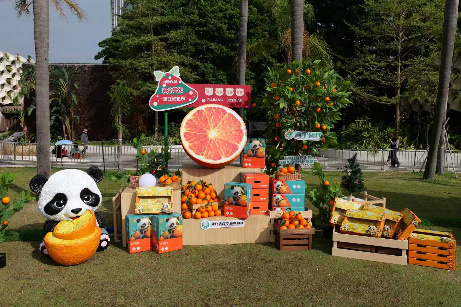 四川蒲江柑橘亮相香港「福市集」