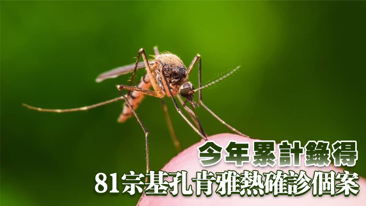 本港今日未錄得基孔肯雅熱新個案