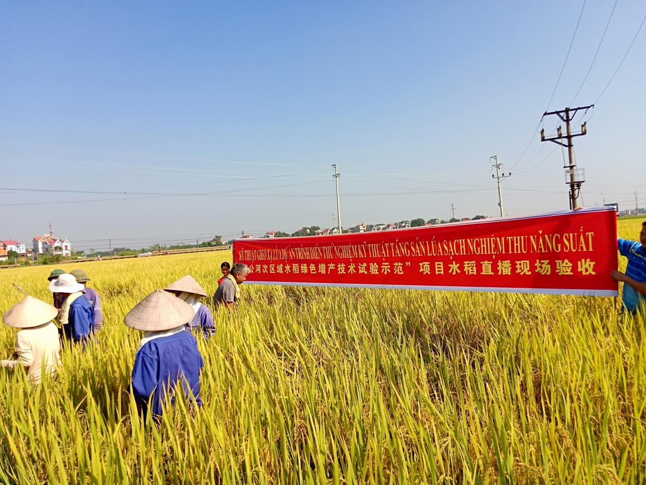 桂越農業合作升級「技術共享」成硬核引擎