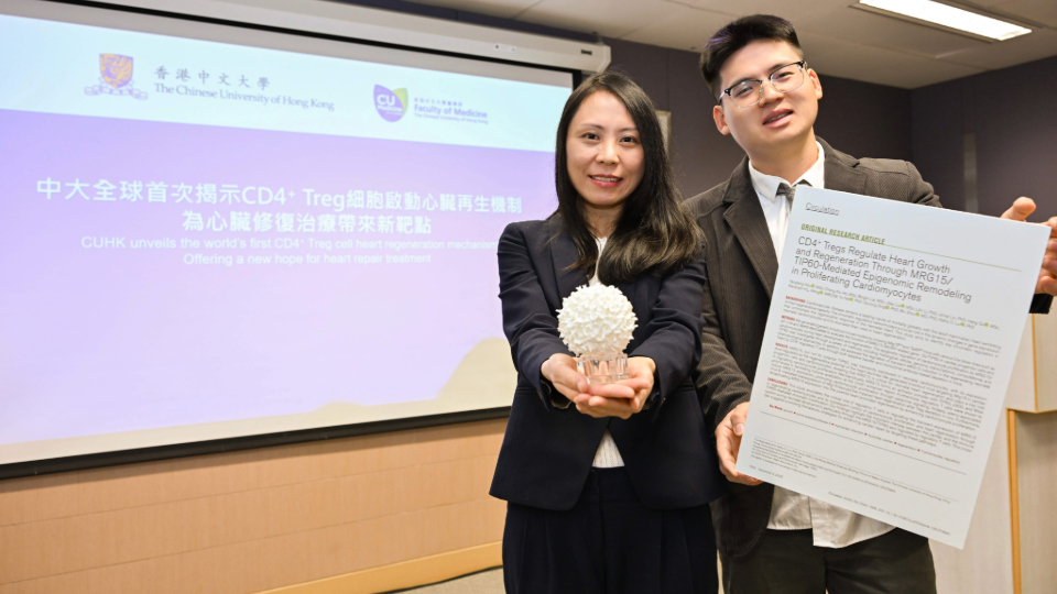 中大全球首次揭示CD4+ Treg細胞啟動心臟再生機制 為心臟修復治療帶來新靶點