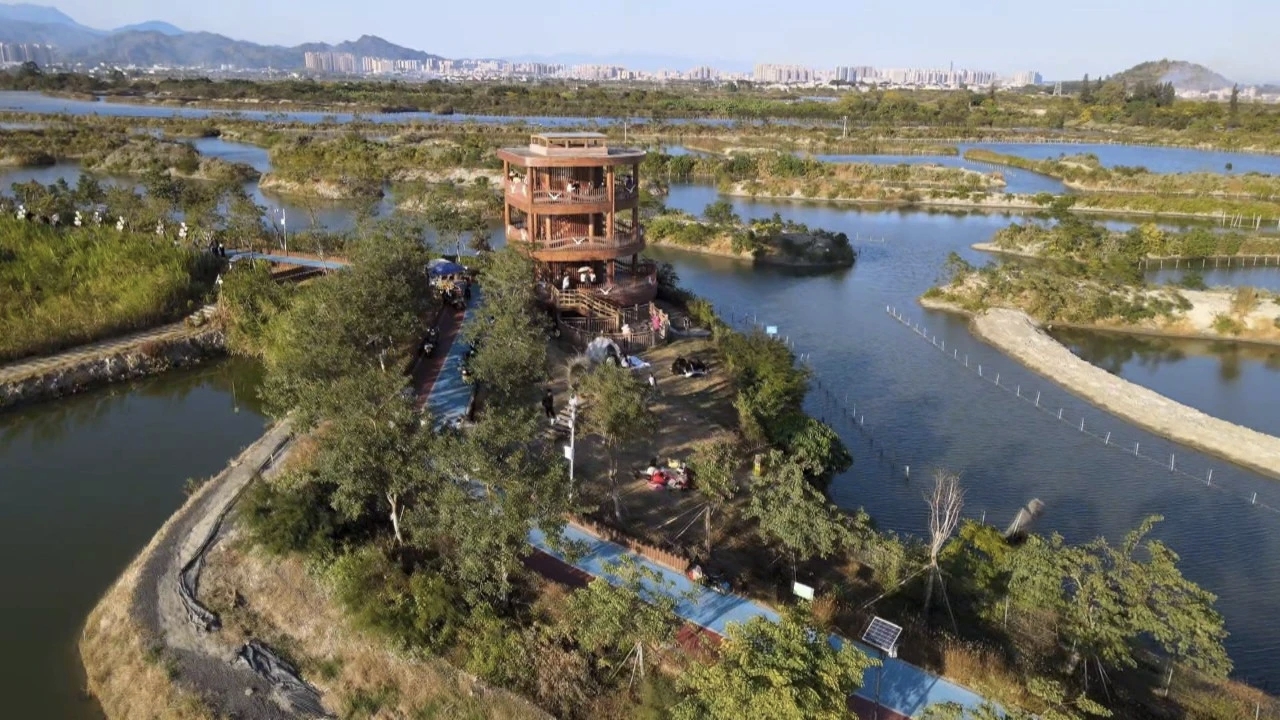 汕尾海豐文旅熱潮出圈 吸引遊客紛紛「打卡」