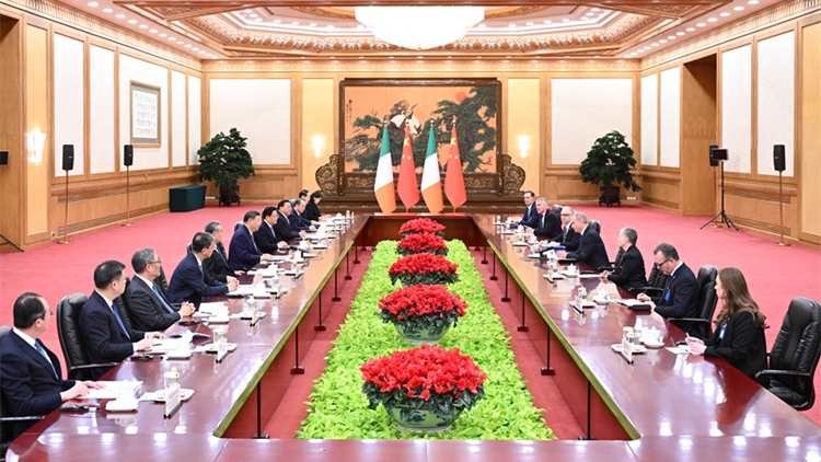 國家主席習近平會見愛爾蘭總理馬丁