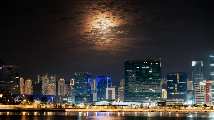 【來論】叢林法則下香港的安身立命之道