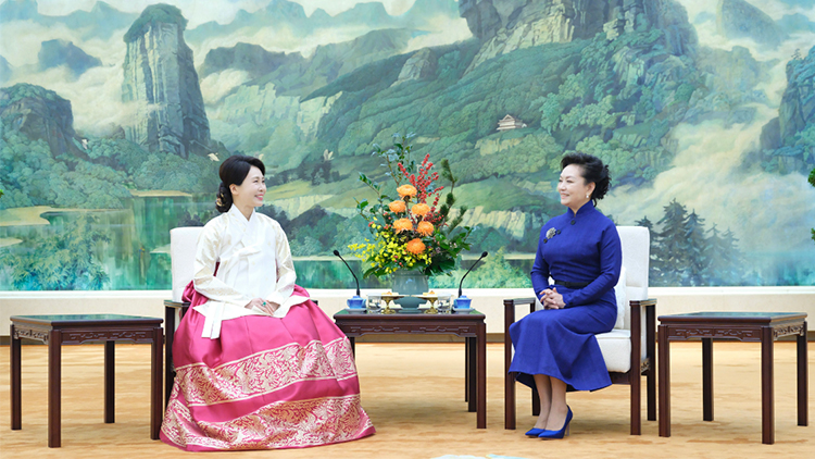 彭麗媛同韓國總統夫人金惠景茶敘