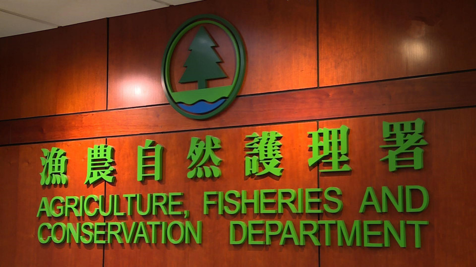 本地漁農美食嘉年華今日起一連三日舉行 逾400攤檔參與