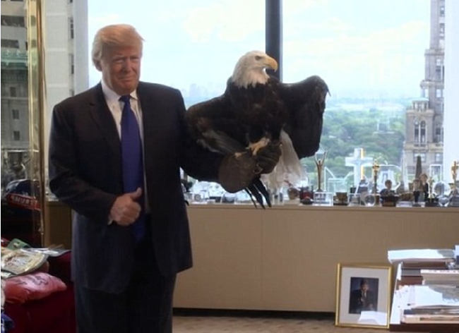 G7峰會為特朗普改期