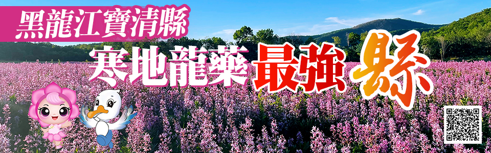 黑龍江寶清縣：寒地龍藥最強縣