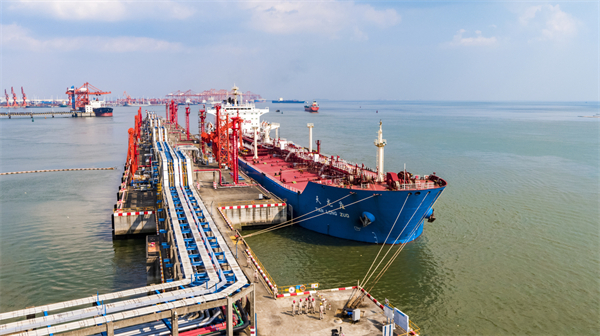 3.中国石油广西石化公司10万吨级码头油轮正在接卸原油。王芳  摄.jpg