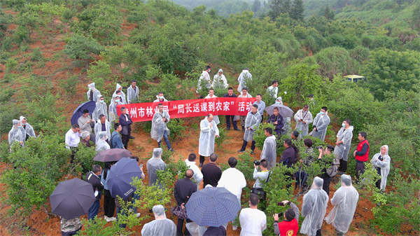 图4：赣州市林业局开展《局长送课到农家》活动，帮助林农提高油茶种植技术.jpg