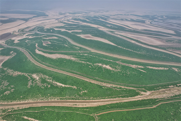 圖二：鄱陽湖水域縮減7成，湖牀變“草原”。康宏雷攝.jpg