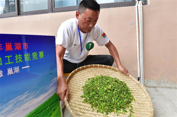 3.安徽巢湖：茶葉採摘加工技能競賽促茶產業提質增效.jpg