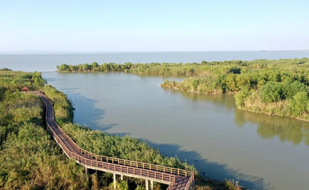 2.安徽巢湖：又一條「幸福河湖」工程開工建設.png