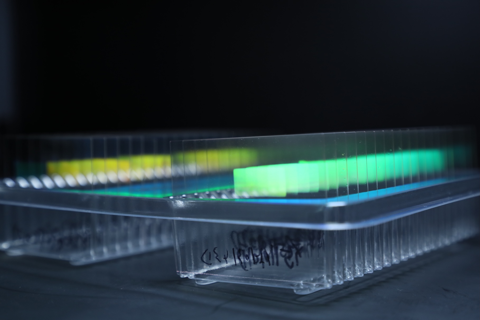 尼卡光學厚度僅0.6毫米的體全息波導鏡片 李劍鋒 攝.jpg