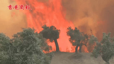 有片丨希臘首都附近發生特大山火 已造成4000公頃森林被燒毀