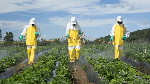 瑞士公投決定是否在十年內禁止使用人工殺蟲劑