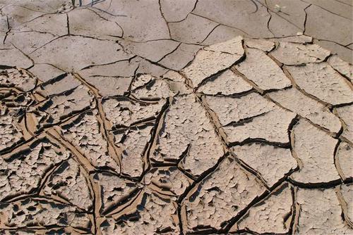 美媒：美國西部正在經歷1200年以來最嚴重的乾旱危機