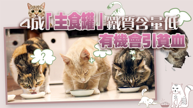 消委會測22款貓咪食品 揭九成貓濕糧礦物質不足