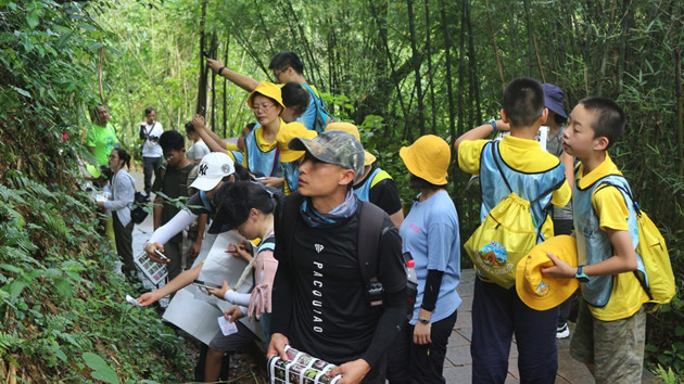 韶關丹霞山入選全球世界遺產教育創新十佳優秀案例