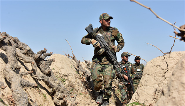 阿富汗安全部隊在多省採取行動 打死193名塔利班成員