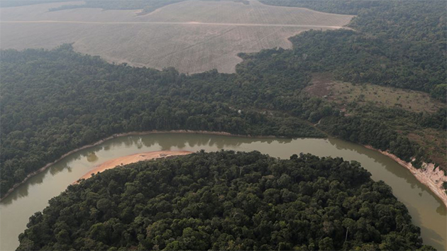 外媒：亞馬遜雨林排碳量超吸碳量 削減使用化石燃料十分迫切