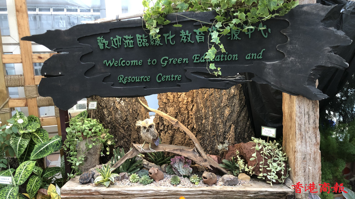 圖集｜九龍公園綠化教育資源中心：讓市民明白綠化和環保的重要