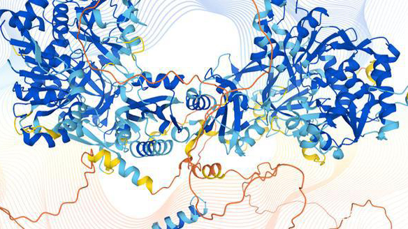 英國公司人工智能程序預測出98.5%的人類蛋白質結構