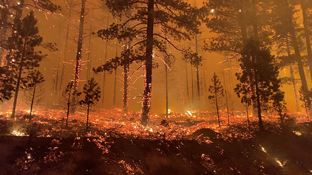 美加州最大野火延燒多地進入緊急狀態 逾萬建築受威脅