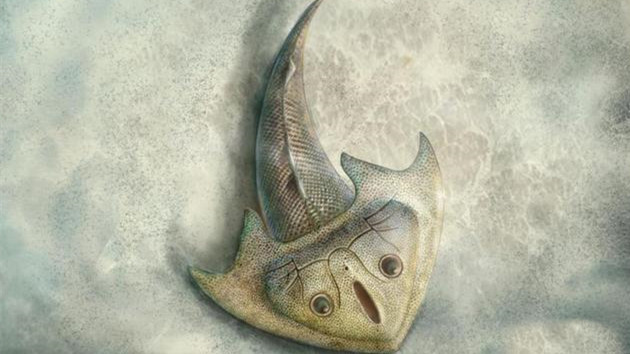 中國學者研究發現4.19億年前「劉氏鐮角魚」