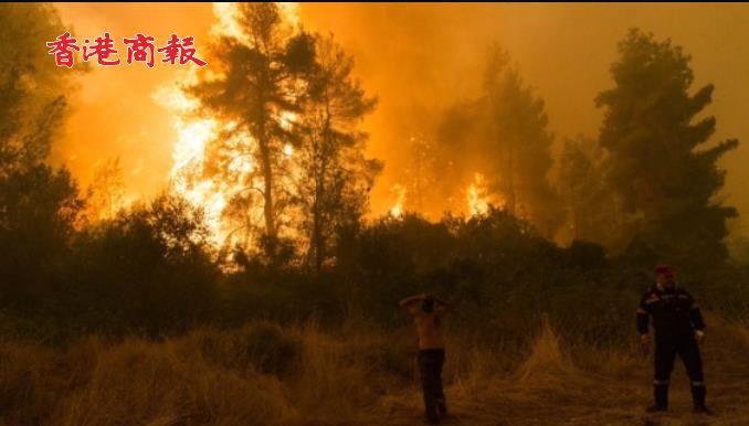 有片 | 希臘林火兩周吞噬近10萬公頃土地
