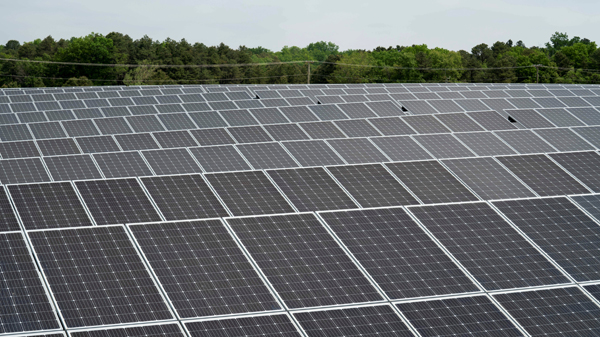 歐盟太陽能供電量創新高 佔總發電量1成