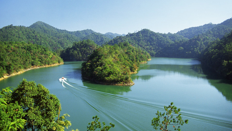 廣東公布十大最美森林旅遊目的地