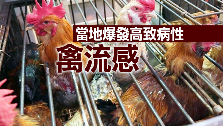 本港暫停進口俄羅斯、韓國和日本部分地區的禽肉及禽類產品