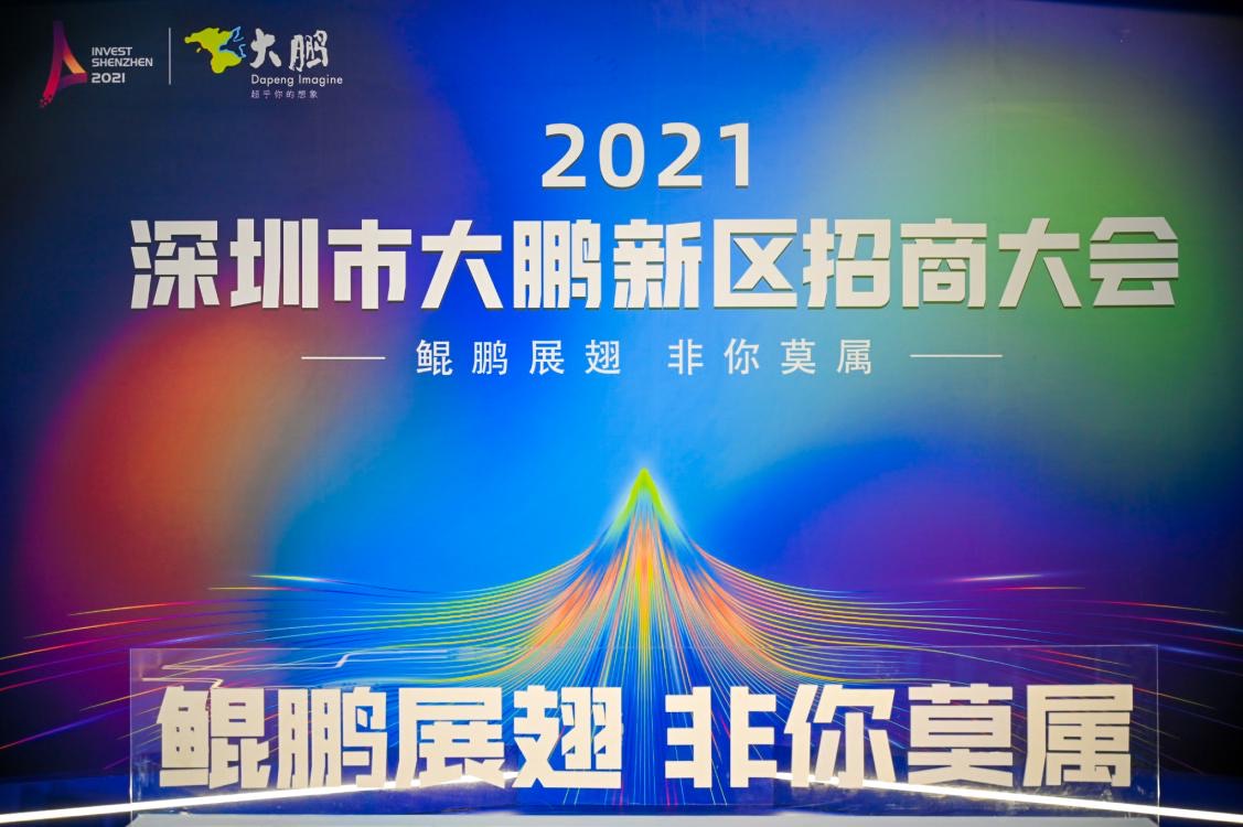 最高6000萬 深圳大鵬發布「1+6」產業政策全球「求賢」