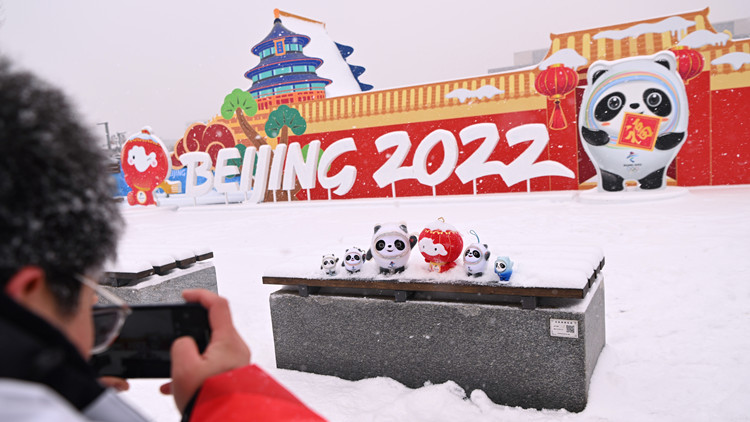 北京冬奧組委發布「冰墩墩」使用規範 