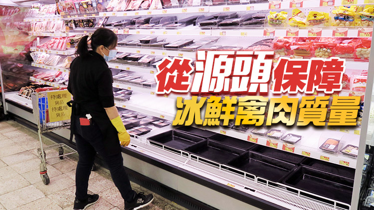 廣東冰鮮禽肉從屠宰到在香港上市可「半日達」