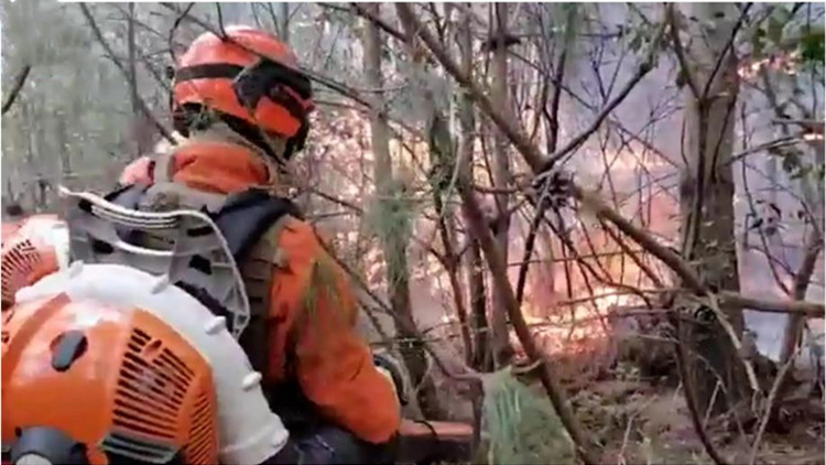 雲南大理發生森林火災 撲救正在進行