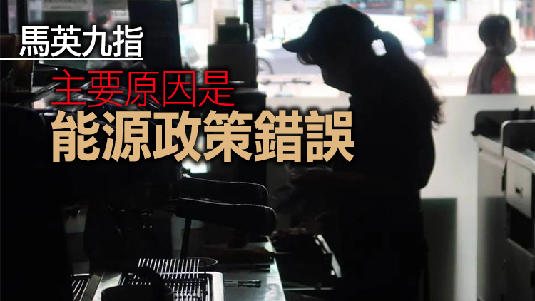 台灣14天停電11次 電力公司竟「甩鍋」野生動物