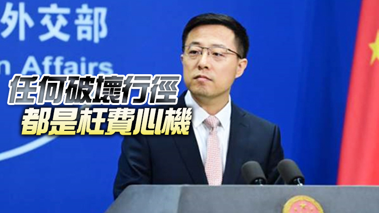 外交部：堅決反對個別國家惡意抹黑香港特首選舉