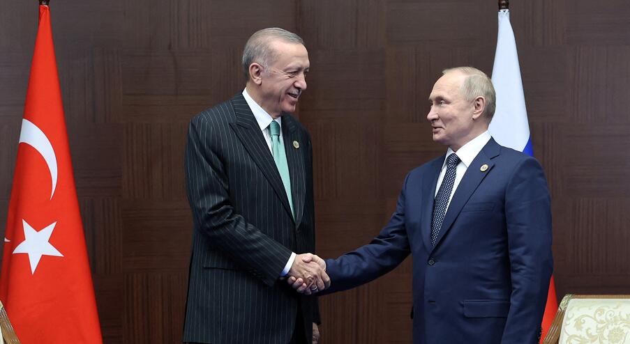 土耳其總統：支持俄方在土建天然氣樞紐的想法
